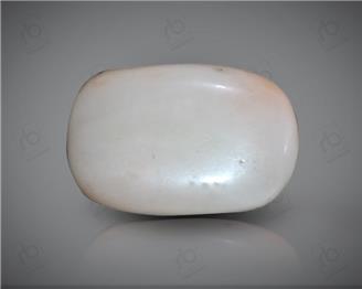 Natural White Coral ( Safed Mooga) Certified 12.03 CTS. ( 91502 )